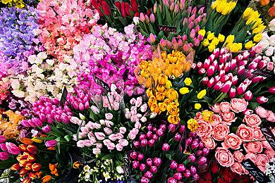 《索尼克×夏特 世代重启》全新关卡介绍！